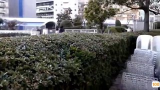 世界上最大巨型蚊子身材非常好的大长腿美女在酒店给男友口交,后人乘骑直到内射- 青青热久免费精品视频在 -